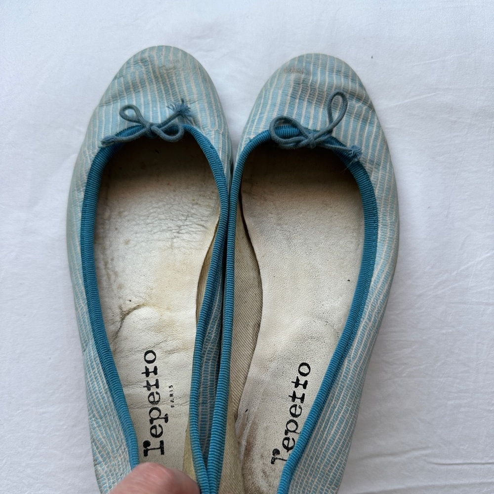 Repetto Leather Ballerina Slipper